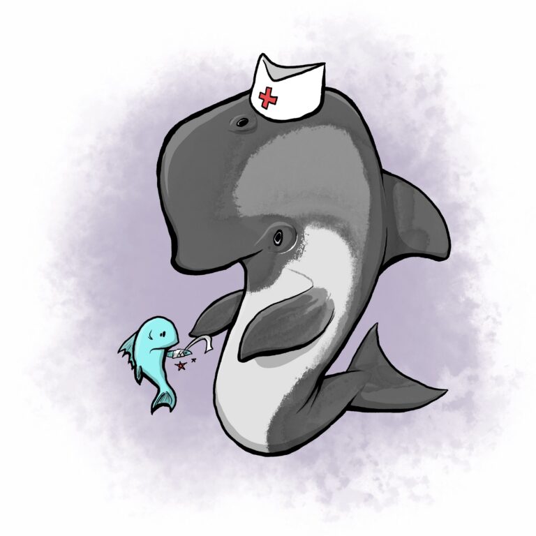 A smiling gray porpoise in a nurse's cap gently bandages the fin of a small teal fish.