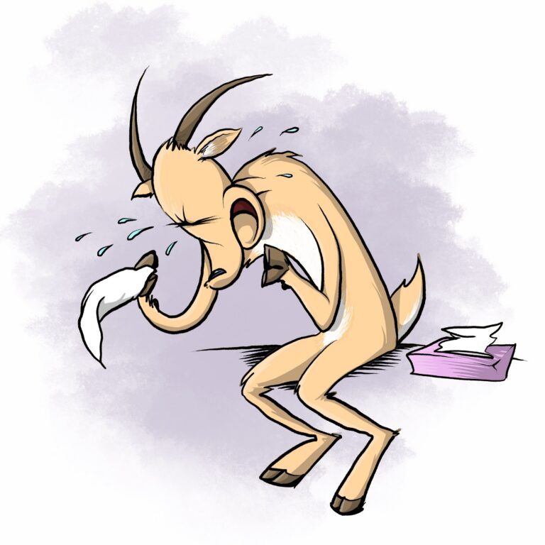 A tan antelope with long curved horns sobs into a tissue, tears flying, perched beside a tissue box.