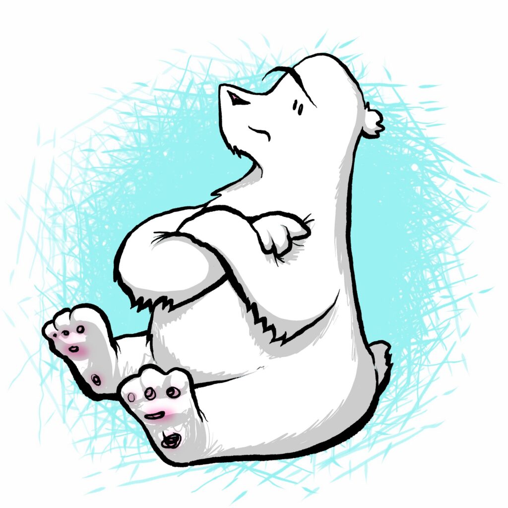 A white polar bear sits hugging its knees, chin raised and eyeing the side warily.