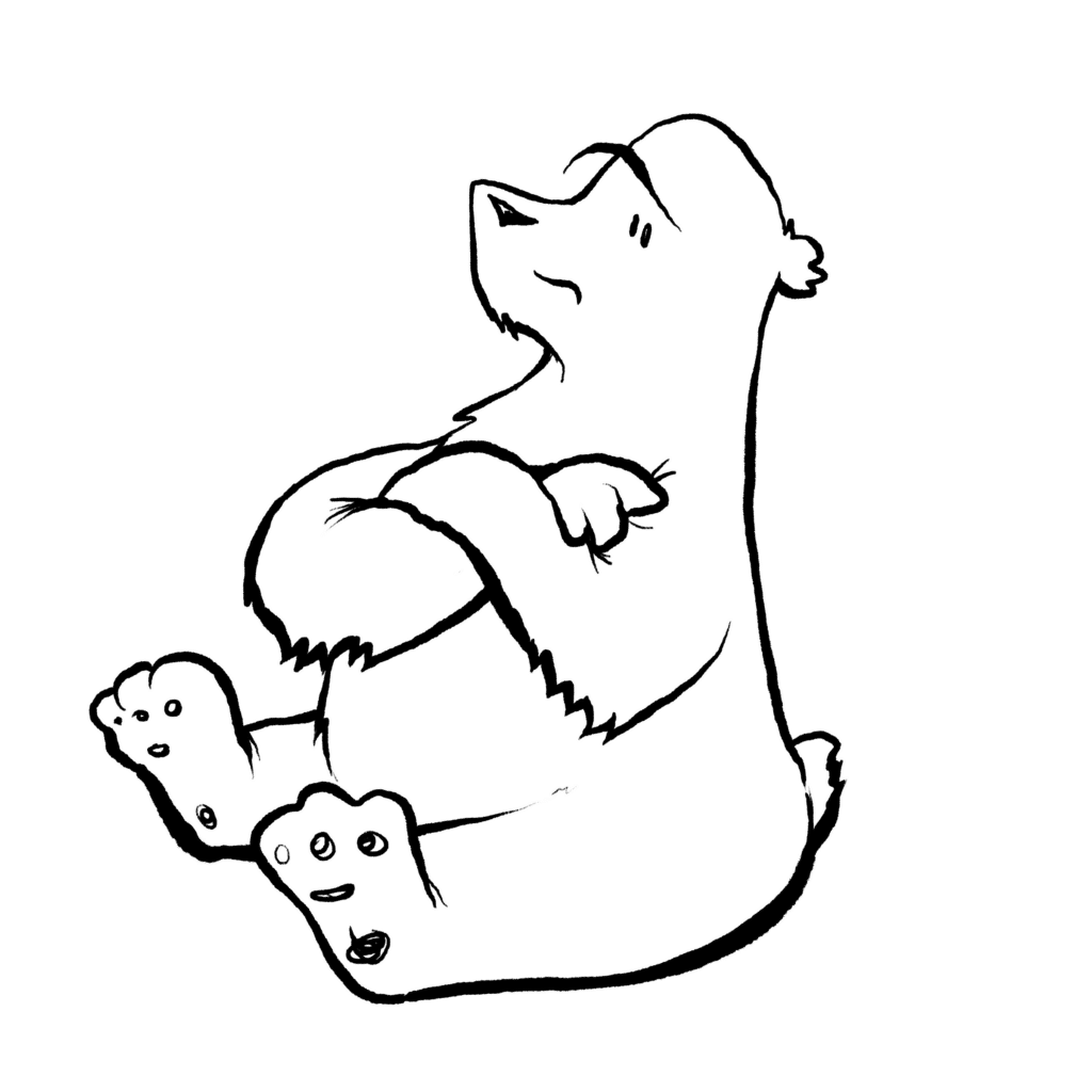A white polar bear sits hugging its knees, chin raised and eyeing the side warily, in black and white.
