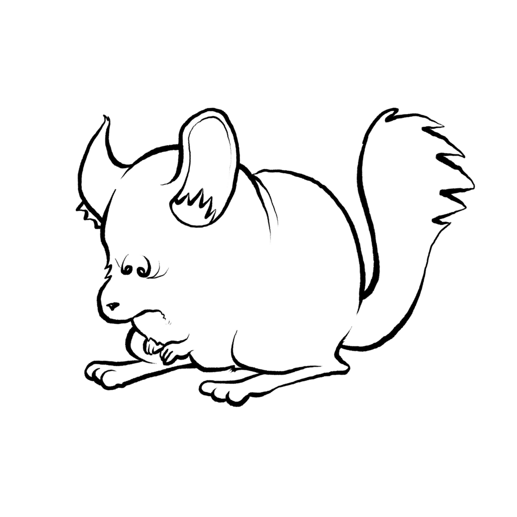 A gray chinchilla with pink ears hunches low, wringing its tiny paws with a pained frown, in black and white.