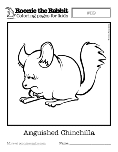 Coloring page preview: Anguished Chinchilla