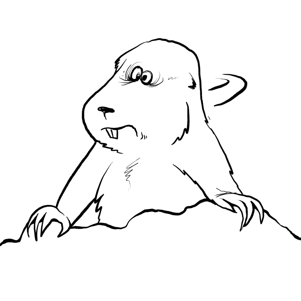 A tan prairie dog peeks over a dark rock with wide, startled eyes and clenched claws, in black and white.