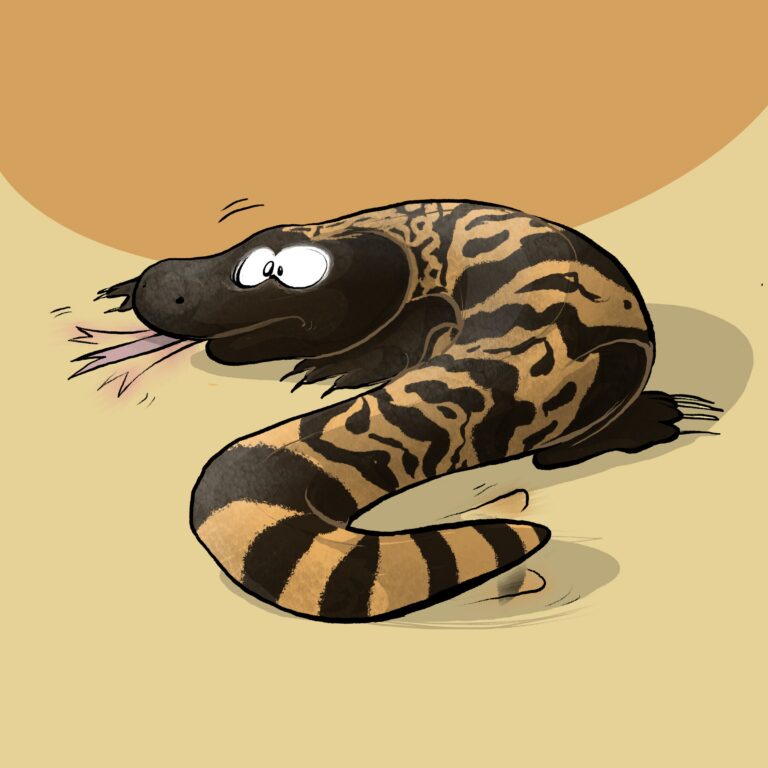 A black-and-orange banded Gila monster freezes with bulging eyes and a flicking forked tongue.