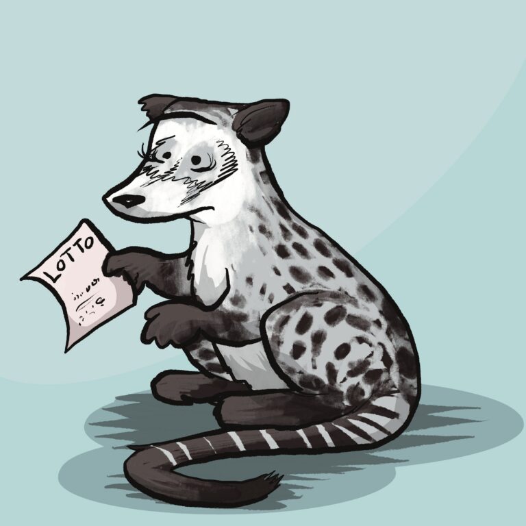 A spotted gray civet with a ringed tail sits slumped, staring glumly at a losing lotto ticket.