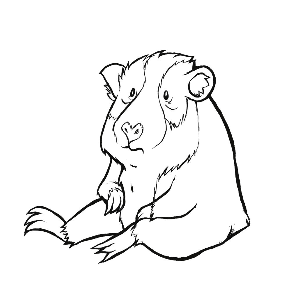 A tan and white guinea pig sits slumped with drooping eyes and limp paws, staring blankly, in black and white.