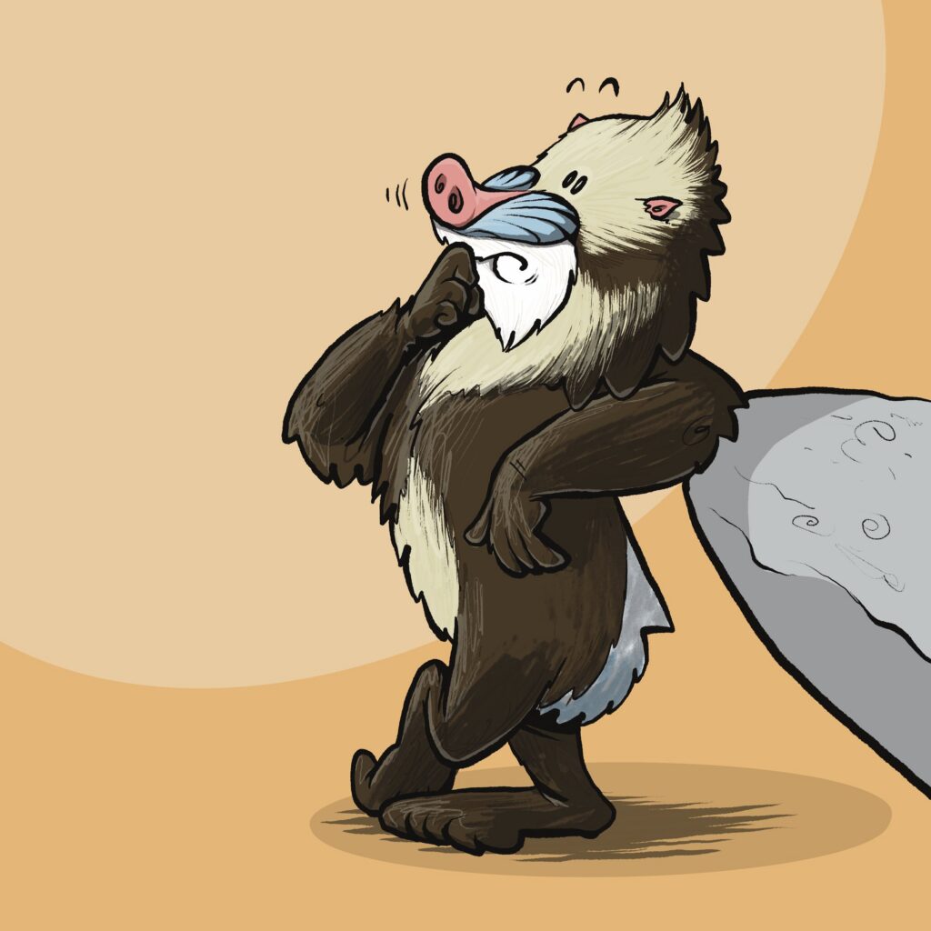 A mandrill with a bright pink and blue face strokes its chin thoughtfully while leaning on a boulder.