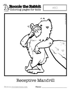 Coloring page preview: Receptive Mandrill