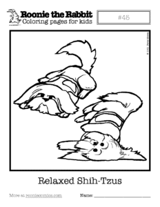 Coloring page preview: Relaxed Shih-Tzus