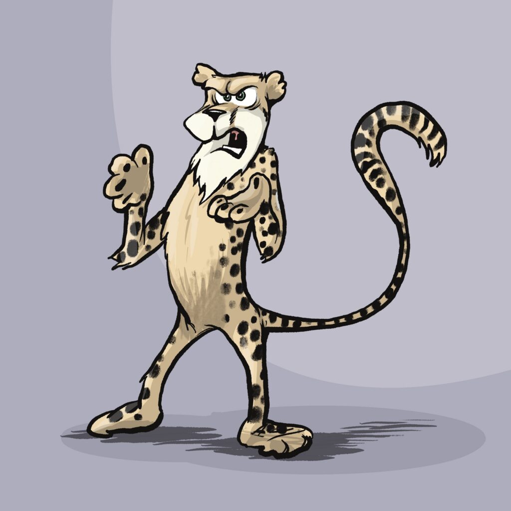 A spotted cheetah snarls with furrowed brows and raised fists, its tail curled high.