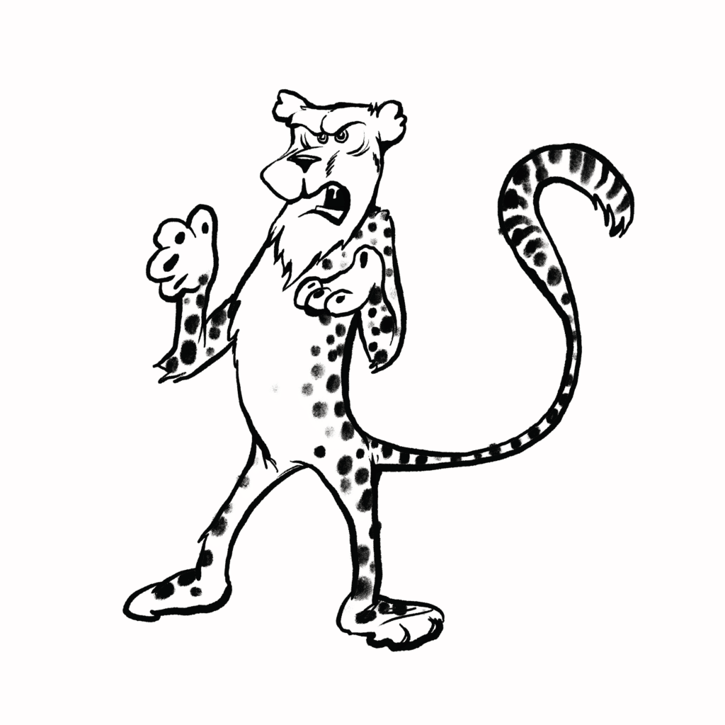 A spotted cheetah snarls with furrowed brows and raised fists, its tail curled high, in black and white.