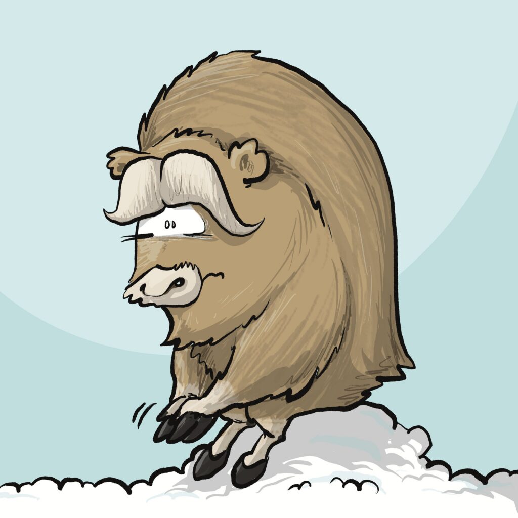 A shaggy musk-ox with drooping horns sits hunched on a snowbank, staring vacantly from under its brow.