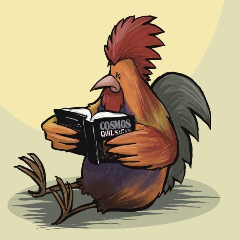 A red and orange rooster sits on the ground, completely absorbed in a copy of Cosmos by Carl Sagan.