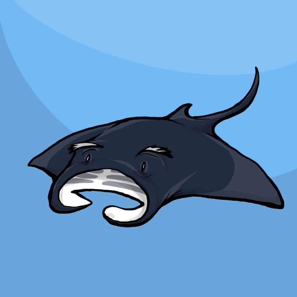 A dark navy manta ray glides calmly through open water, eyes half closed and serene.