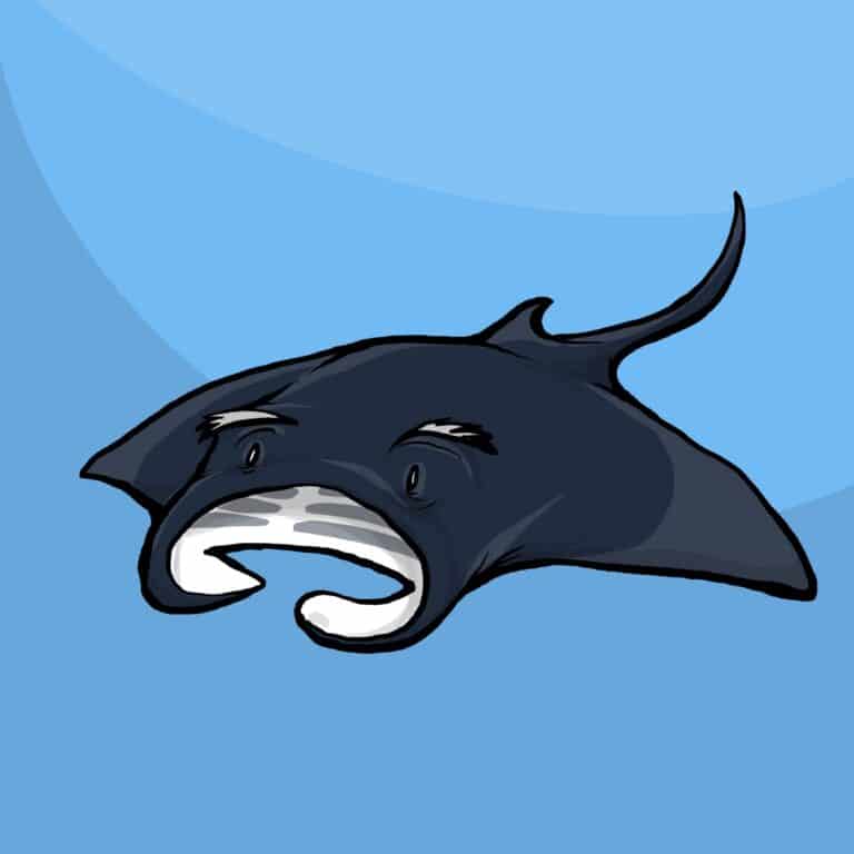A dark navy manta ray glides calmly through open water, eyes half closed and serene.