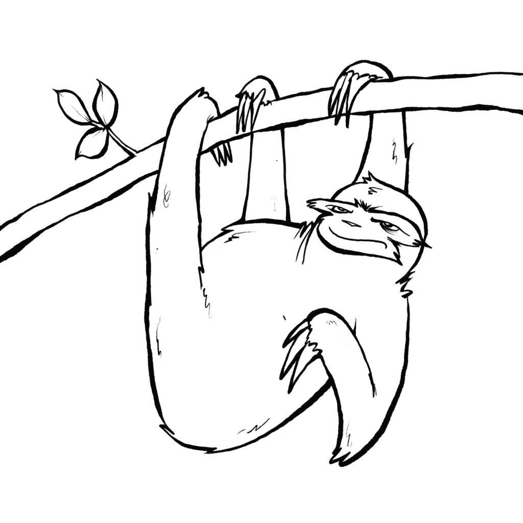 A gray sloth hangs from a branch by its claws, glaring sideways with a narrow-eyed, sour smirk, in black and white.