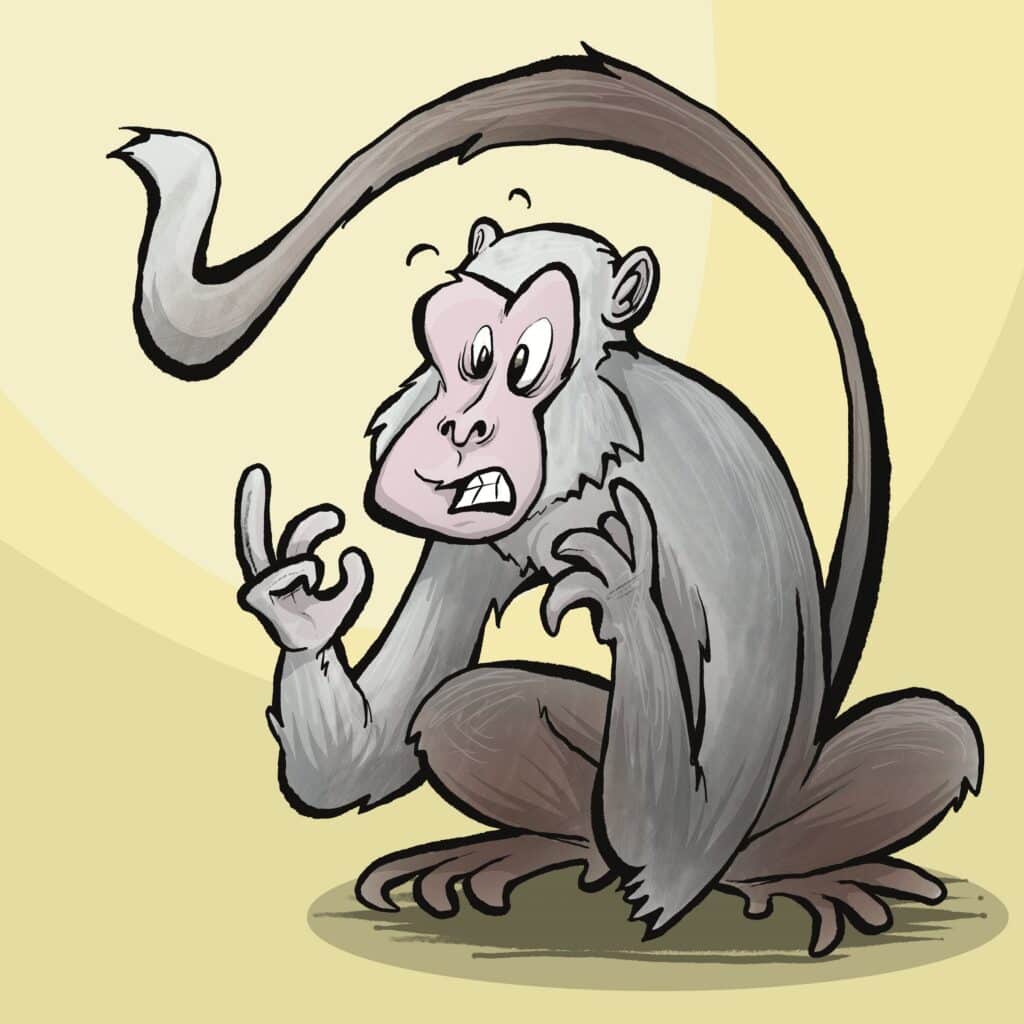 A gray monkey with a pink face crouches wide-eyed and grimacing, fingers curled and long tail arched overhead.