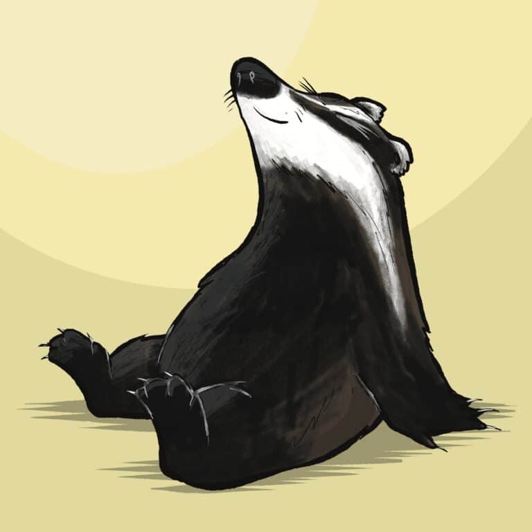 A black and white badger sits back with its eyes closed and nose raised, smiling blissfully.
