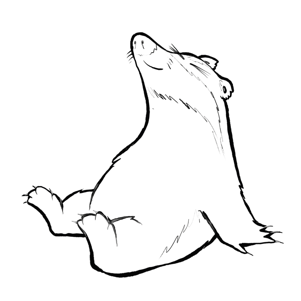 A black and white badger sits back with its eyes closed and nose raised, smiling blissfully, in black and white.