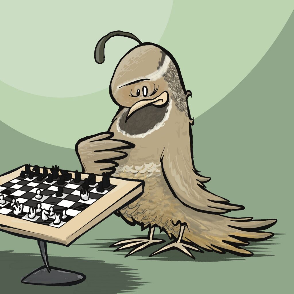 A brown quail with a curled head plume hunches over a chessboard, hand to its chin with a pained, embarrassed wince.