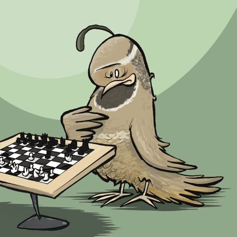 A brown quail with a curled head plume hunches over a chessboard, hand to its chin with a pained, embarrassed wince.